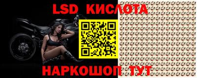 прущие крисы Анапа